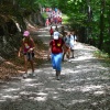 Plamienok 2012